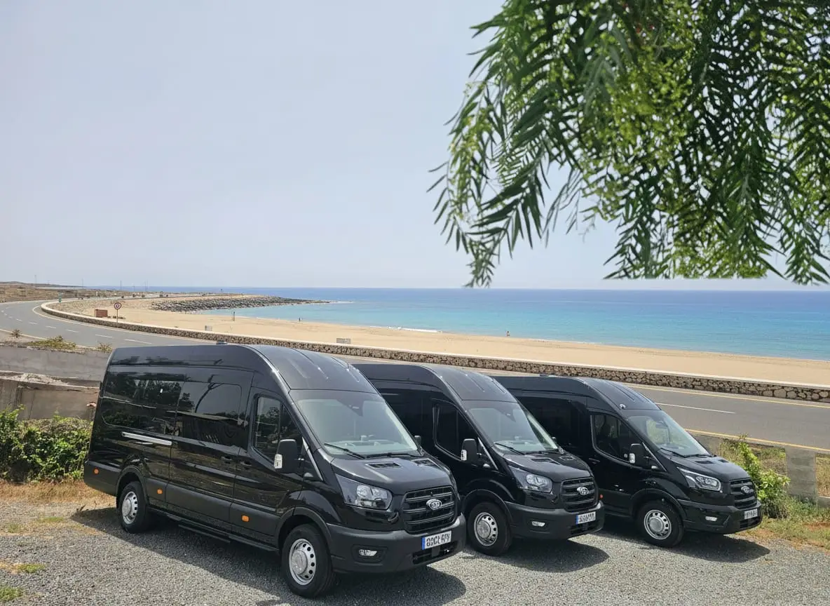 Private Minivan