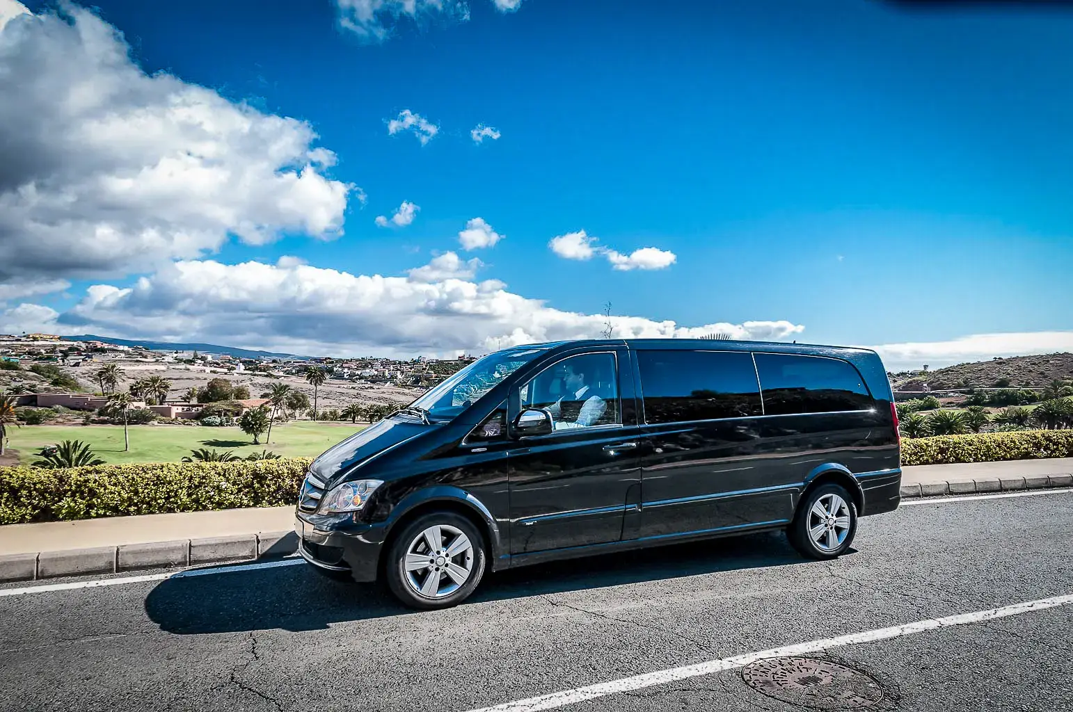 Private Minivan
