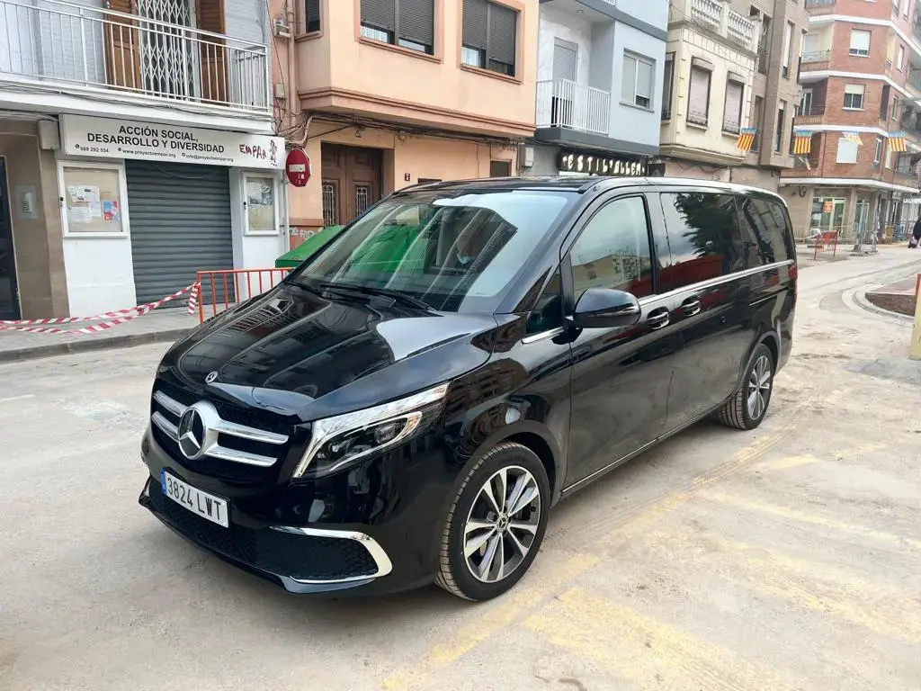Private Minivan