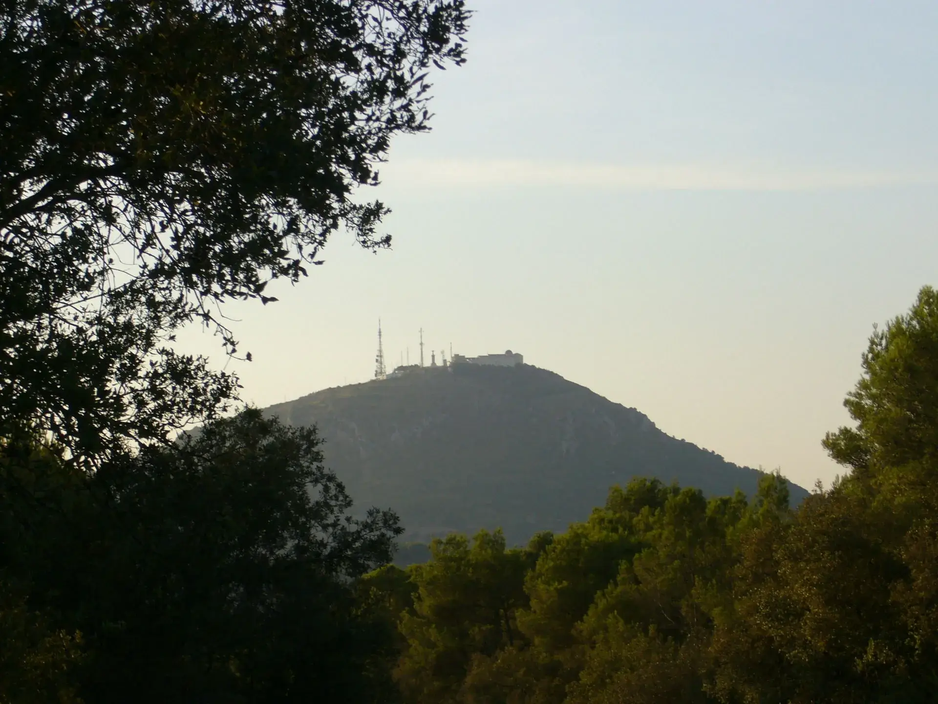 Addaia