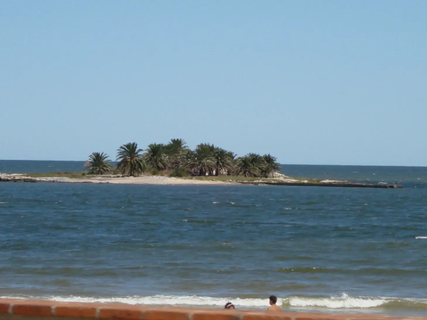 Las Gaviotas