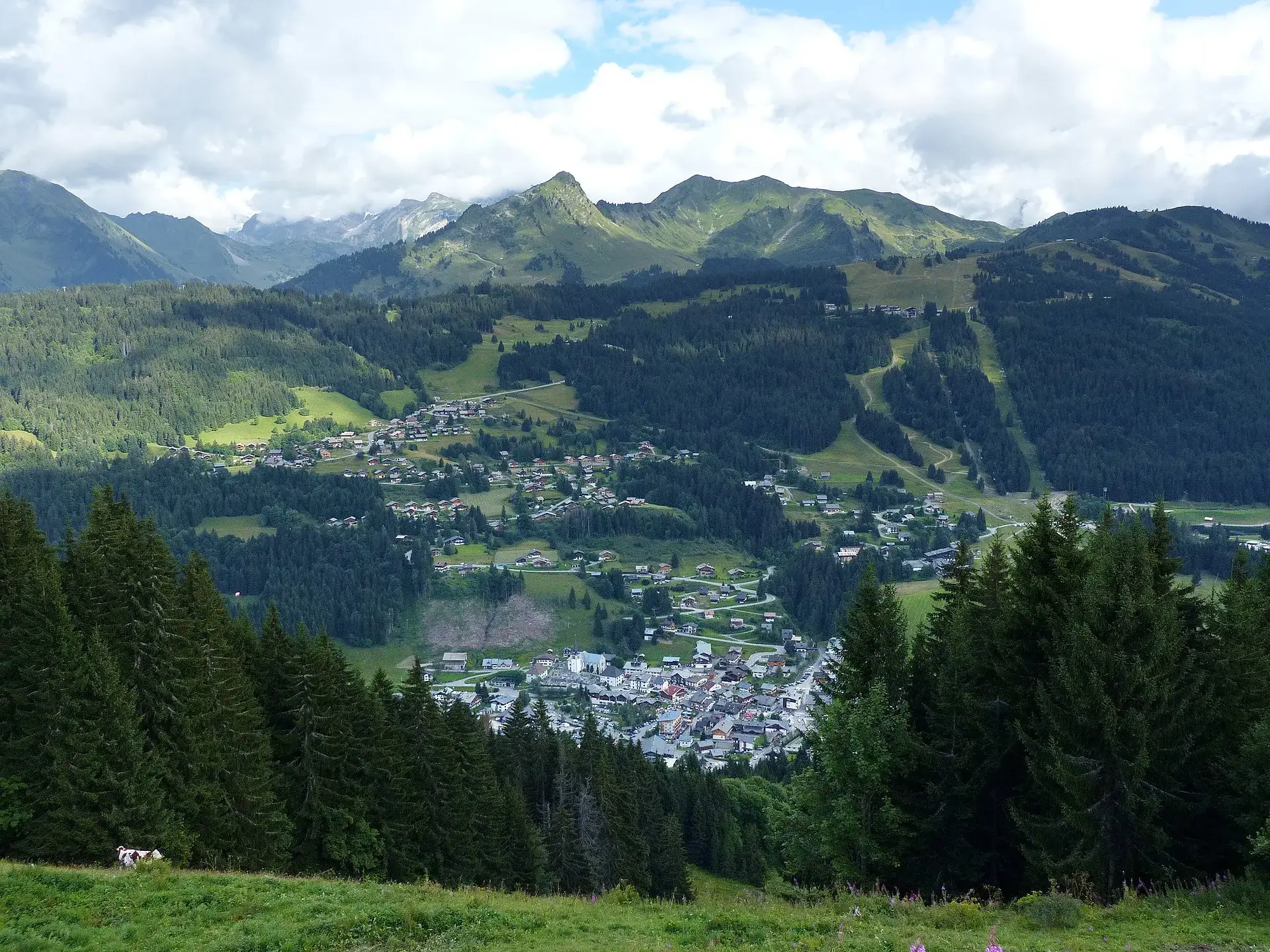 Taxi transfer from Chambery Airport to Les Gets