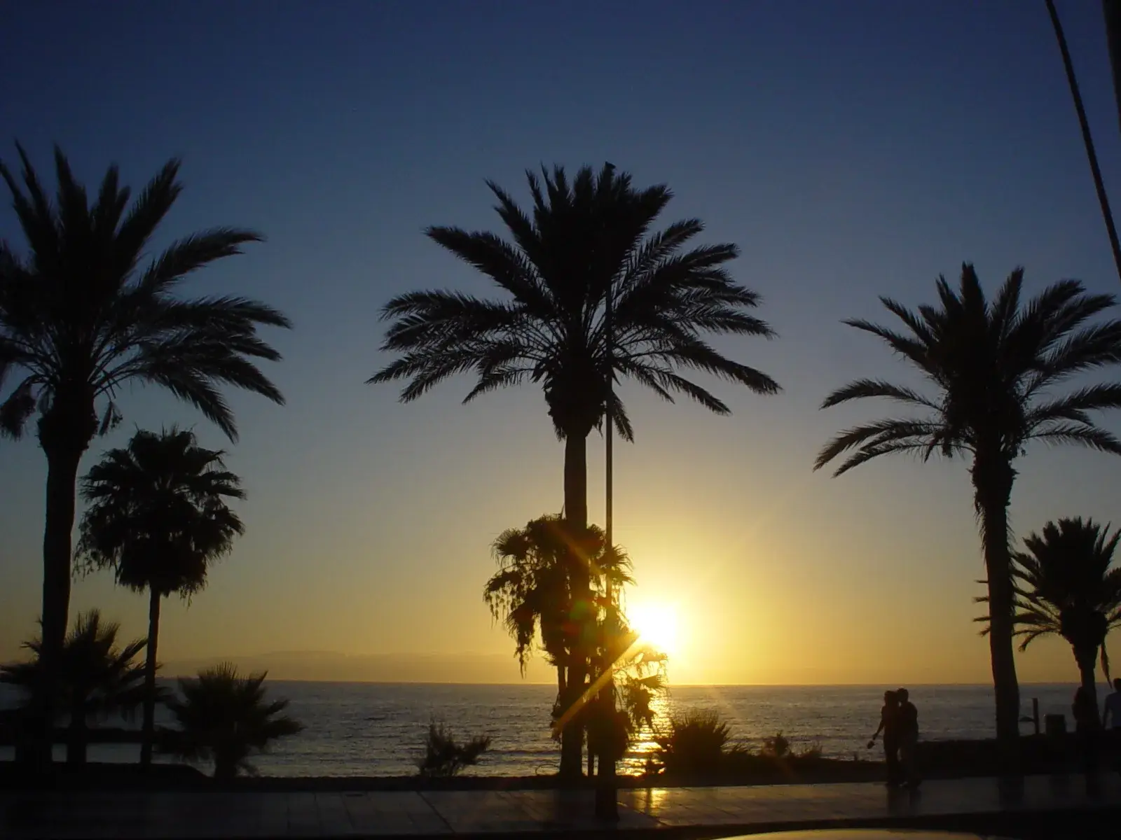 Playa de las Americas