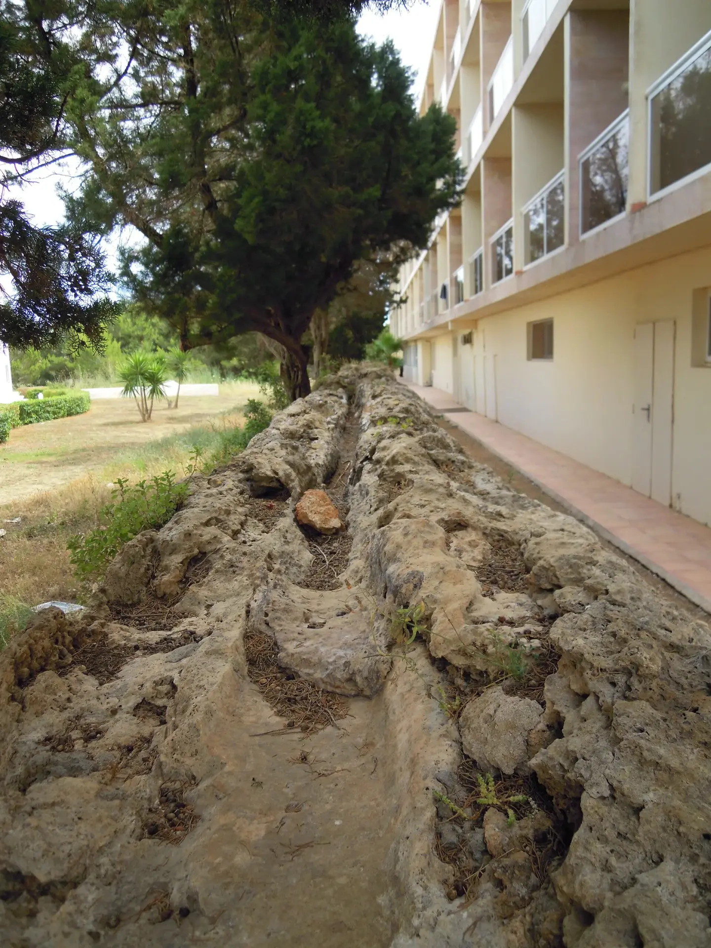 S'argamassa
