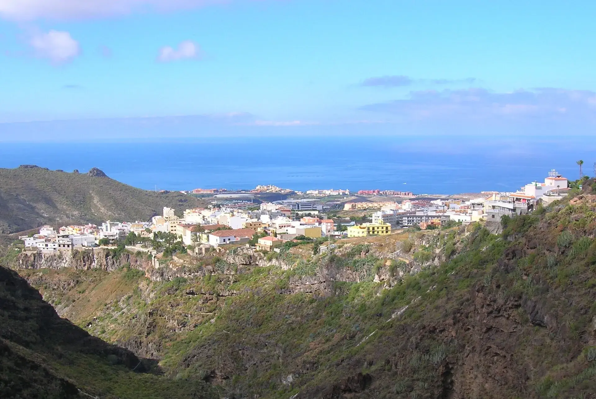 Torviscas