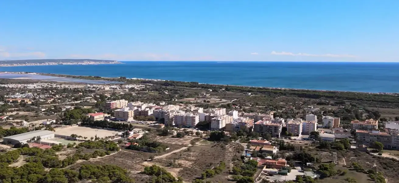 The beautiful sandy beach and pine forest at La Marina resort, a popular holiday destination reached via private taxi services from Alicante airport.