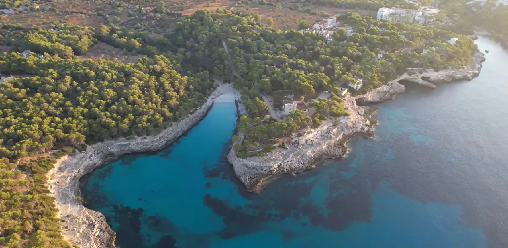 Private resort transfer service from Palma Airport to Cala Barca and Iberostar Club Cala Barca, Majorca