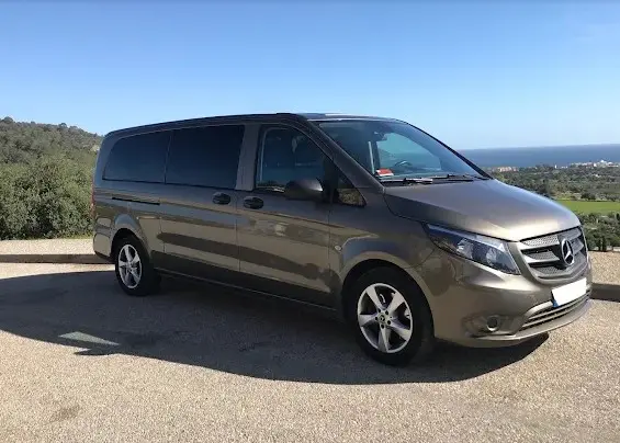 Private Minivan