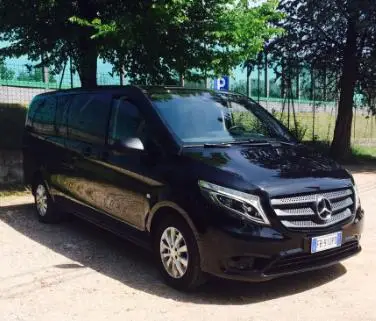 Private Minivan