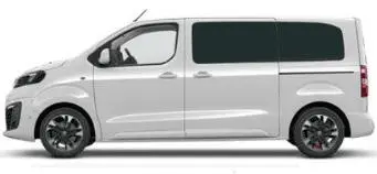 Private Minivan inc Water Taxi